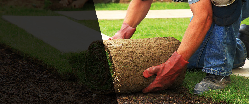 Fort Campbell Landscapers